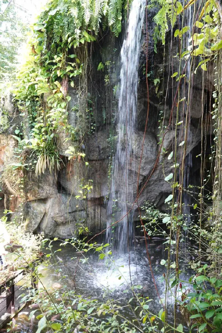 Penang, Malaysia - Photo 22