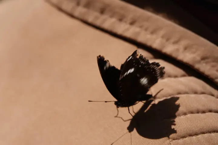 Penang, Malaysia - Photo 24