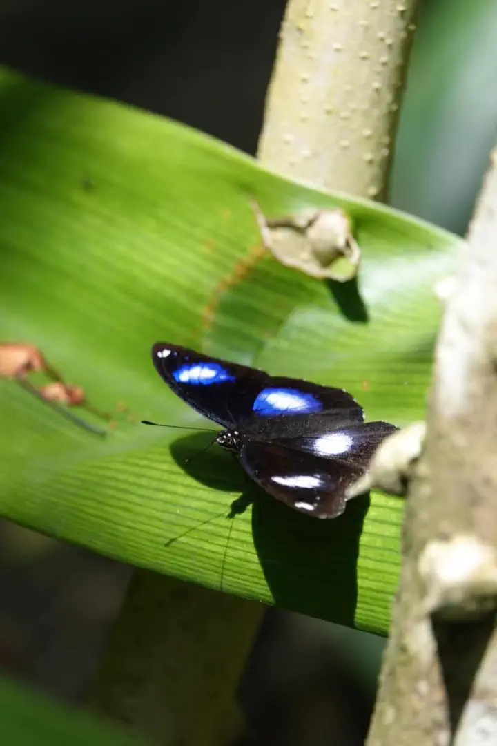 Penang, Malaysia - Photo 25