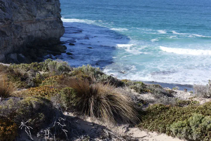 Penneshaw, Australien - Photo 4