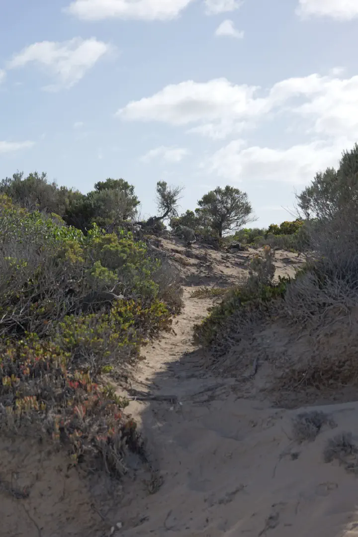 Penneshaw, Australien - Photo 8