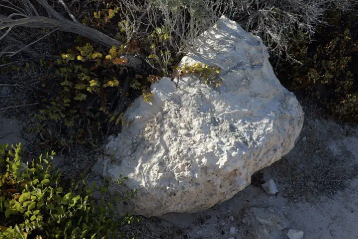 Penneshaw, Australien - Photo 9