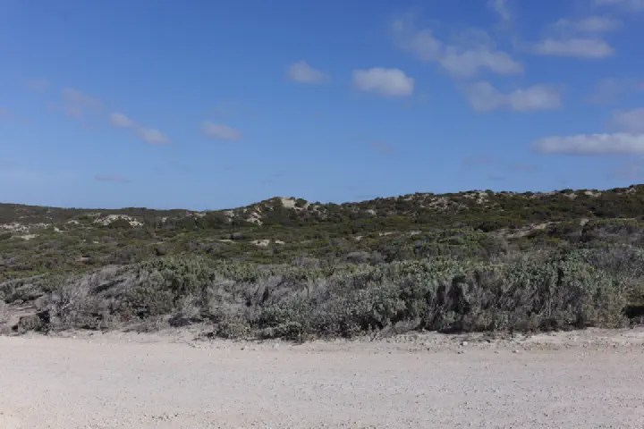 Penneshaw, Australien - Photo 10