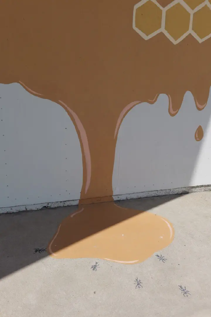 Penneshaw, Australien - Photo 13