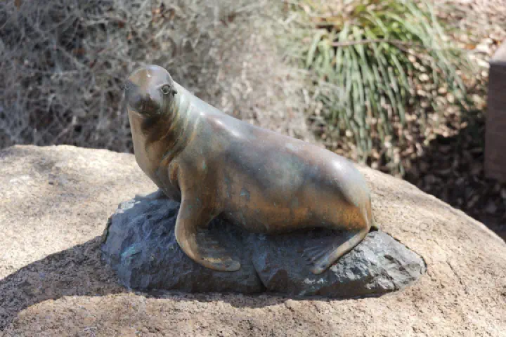 Penneshaw, Australien - Photo 14