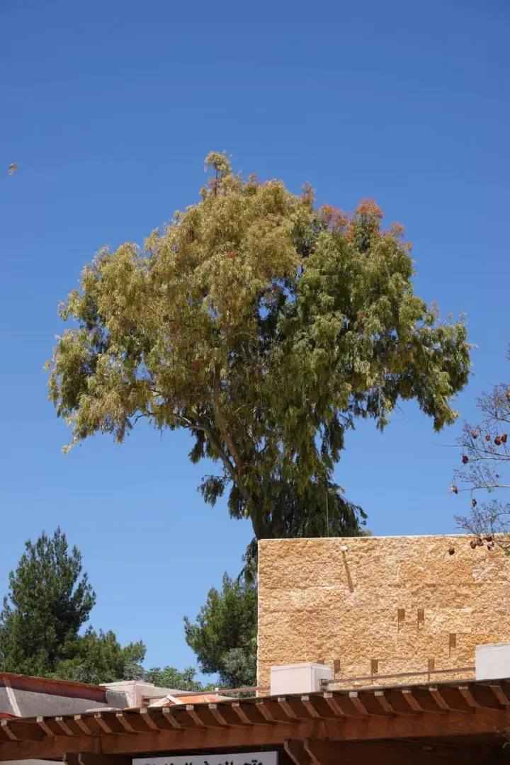 Petra, Jordanien - Photo 12