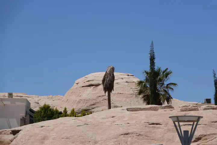 Petra, Jordanien - Photo 13