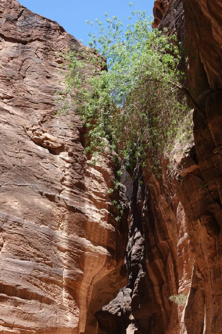 Petra, Jordanien - Photo 23