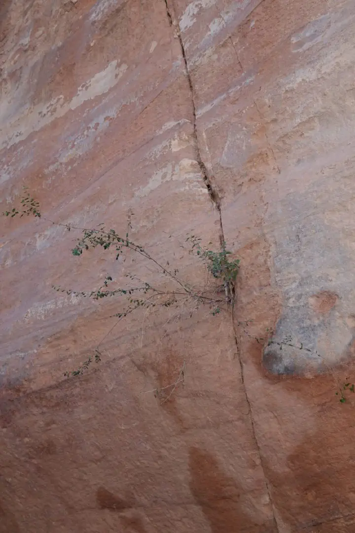 Petra, Jordanien - Photo 37