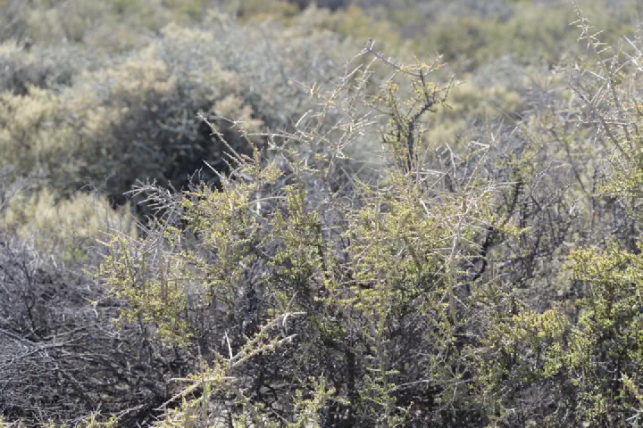 Puerto Madryn, Argentinien - Photo 1