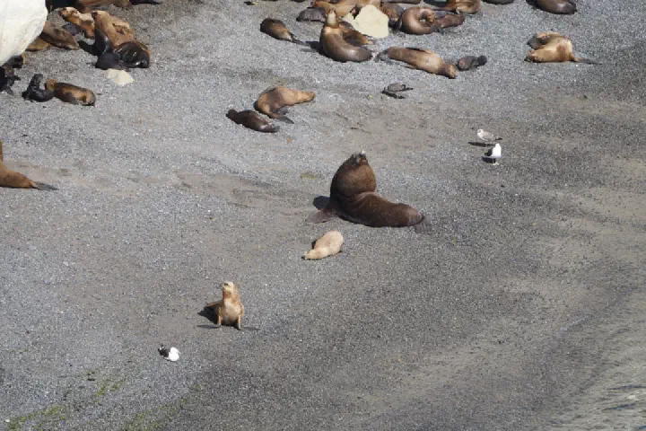 Puerto Madryn, Argentinien - Photo 2