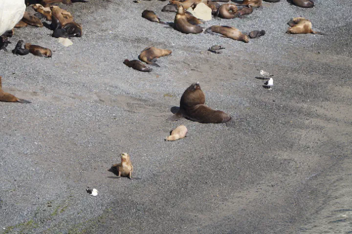Puerto Madryn, Argentinien - Photo 2