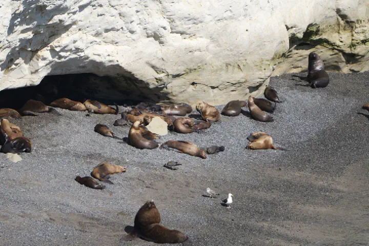 Puerto Madryn, Argentinien - Photo 3