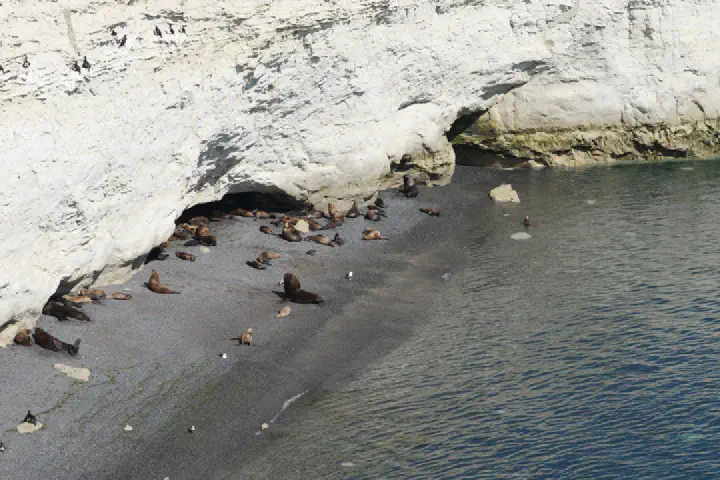Puerto Madryn, Argentinien - Photo 4