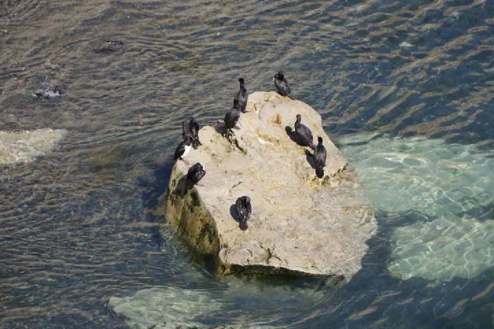Puerto Madryn, Argentinien - Photo 6
