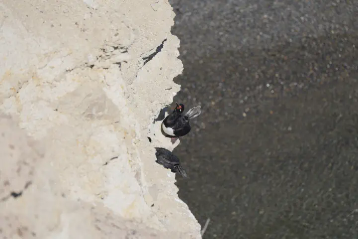 Puerto Madryn, Argentinien - Photo 7