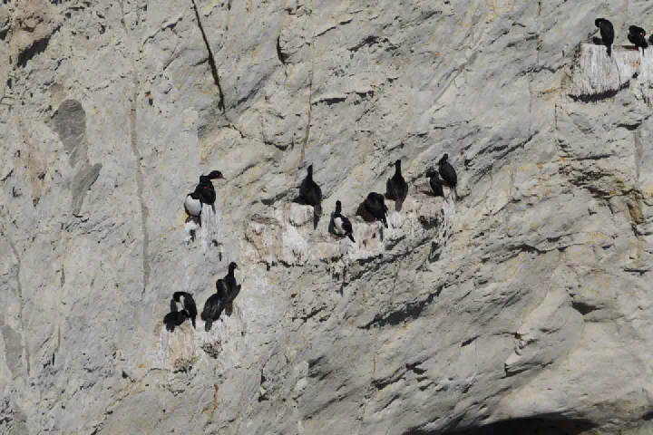 Puerto Madryn, Argentinien - Photo 8