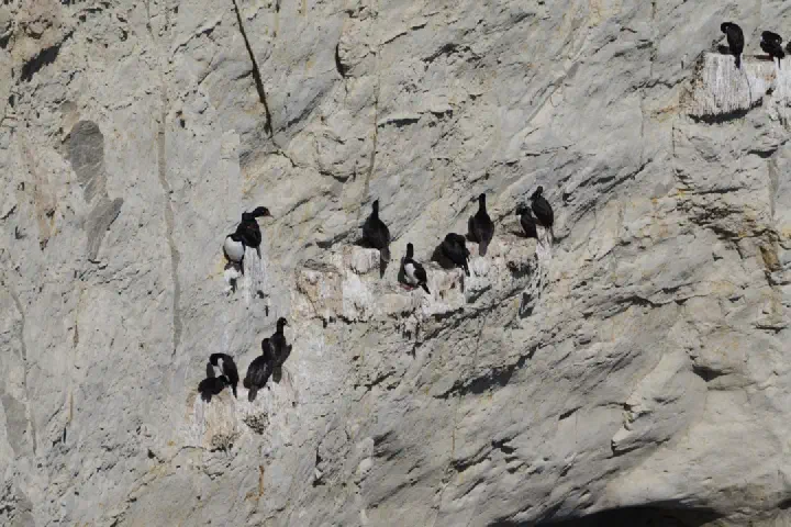 Puerto Madryn, Argentinien - Photo 8