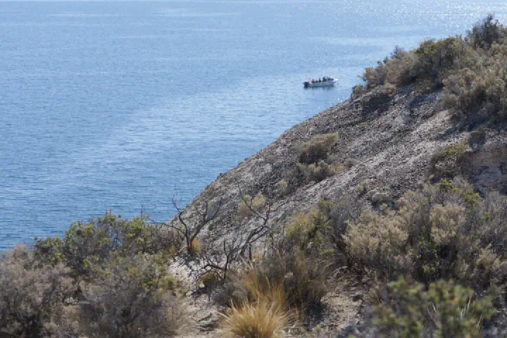 Puerto Madryn, Argentinien - Photo 9