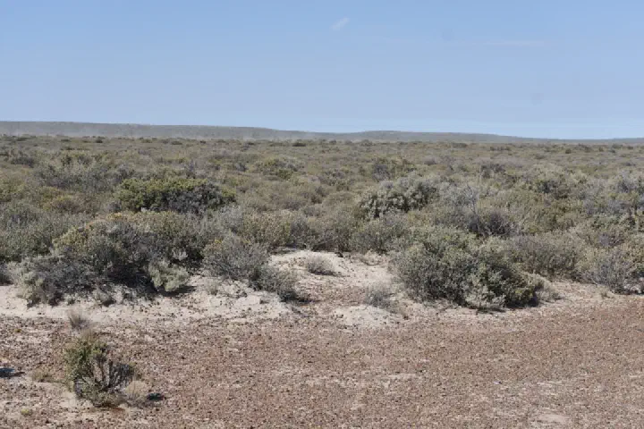 Puerto Madryn, Argentinien - Photo 12