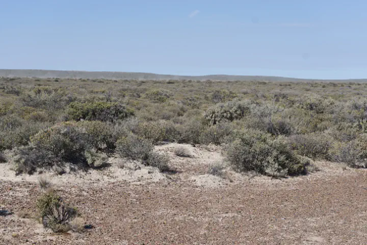 Puerto Madryn, Argentinien - Photo 12