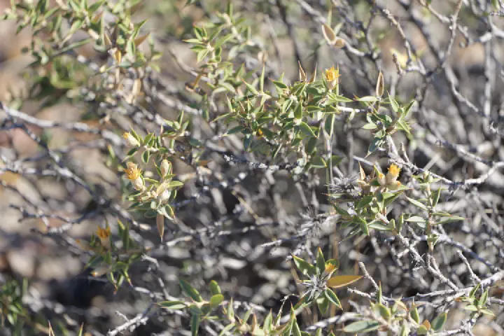 Puerto Madryn, Argentinien - Photo 13