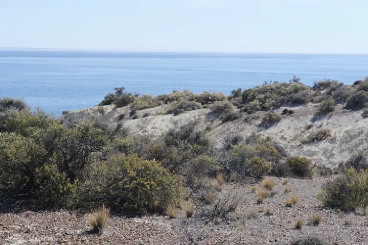 Puerto Madryn, Argentinien - Photo 14