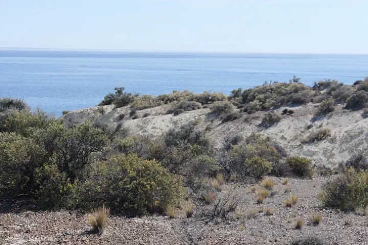Puerto Madryn, Argentinien - Photo 14