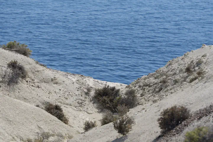 Puerto Madryn, Argentinien - Photo 15