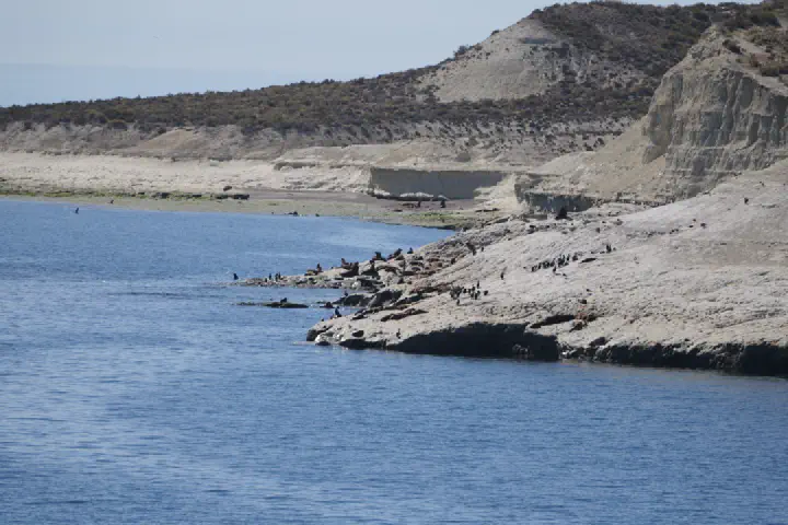 Puerto Madryn, Argentinien - Photo 18