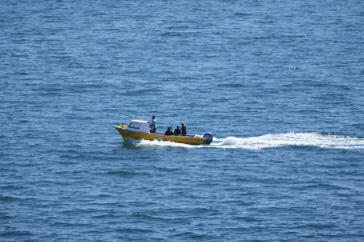 Puerto Madryn, Argentinien - Photo 25