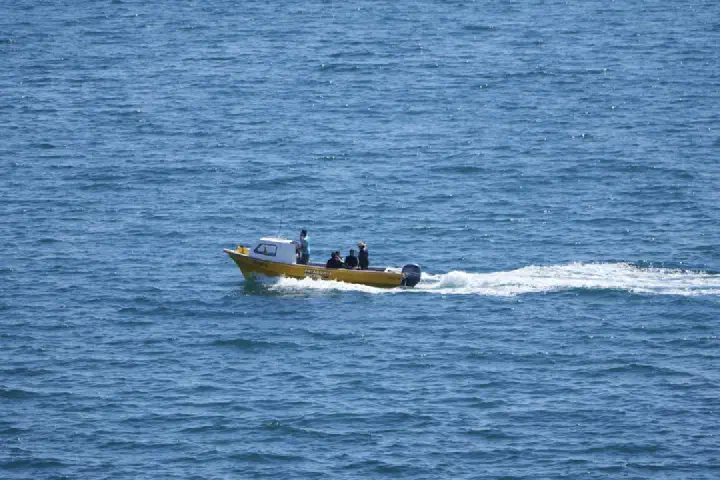 Puerto Madryn, Argentinien - Photo 25