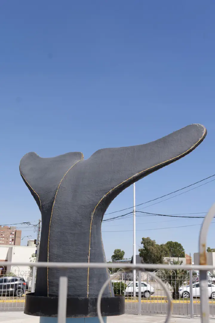 Puerto Madryn, Argentinien - Photo 26