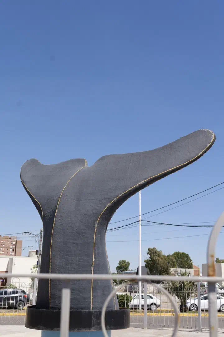 Puerto Madryn, Argentinien - Photo 26