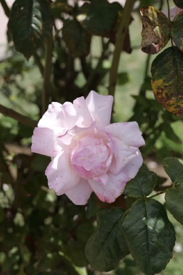 Puerto Montt, Chile - Photo 18