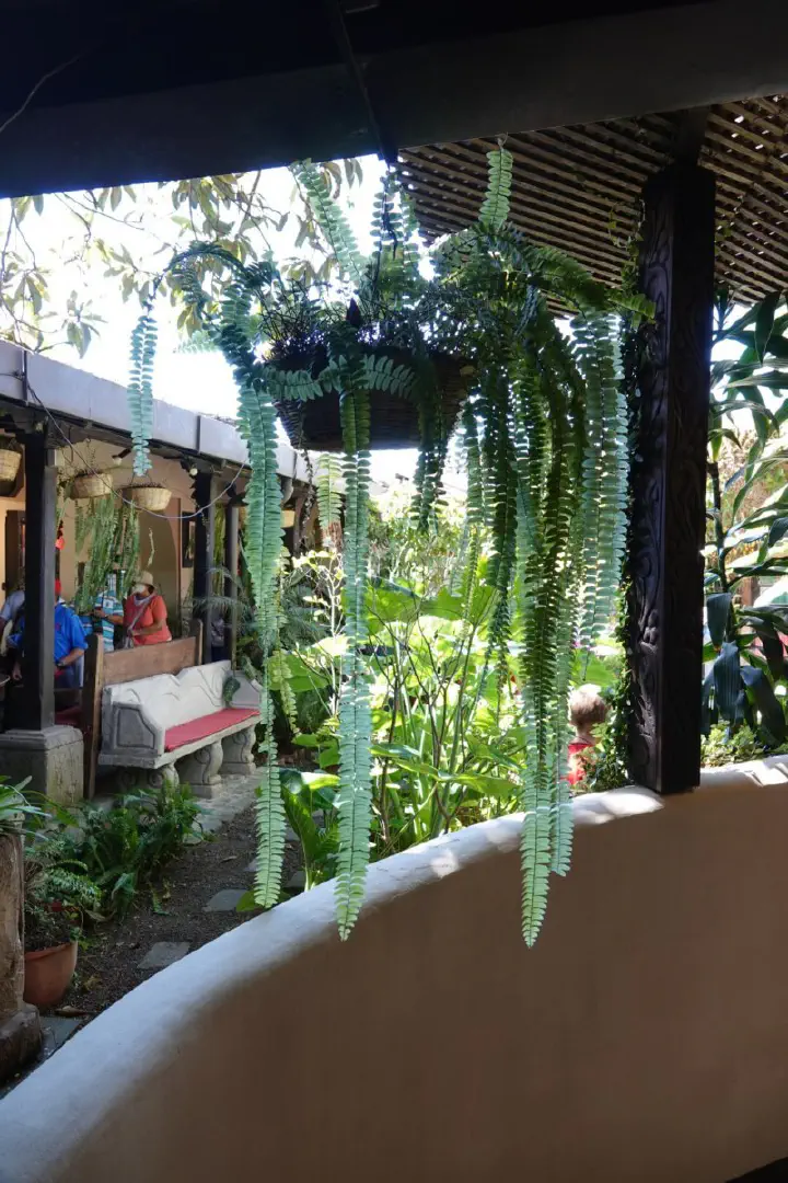 Puerto Quetzal, Guatemala - Photo 18