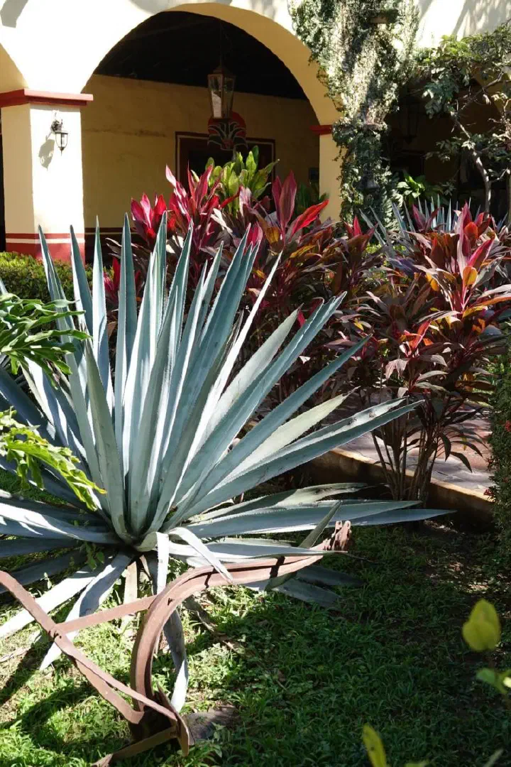 Puerto Vallarta, Mexiko - Photo 16