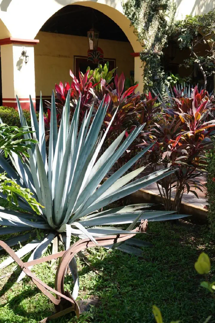 Puerto Vallarta, Mexiko - Photo 16