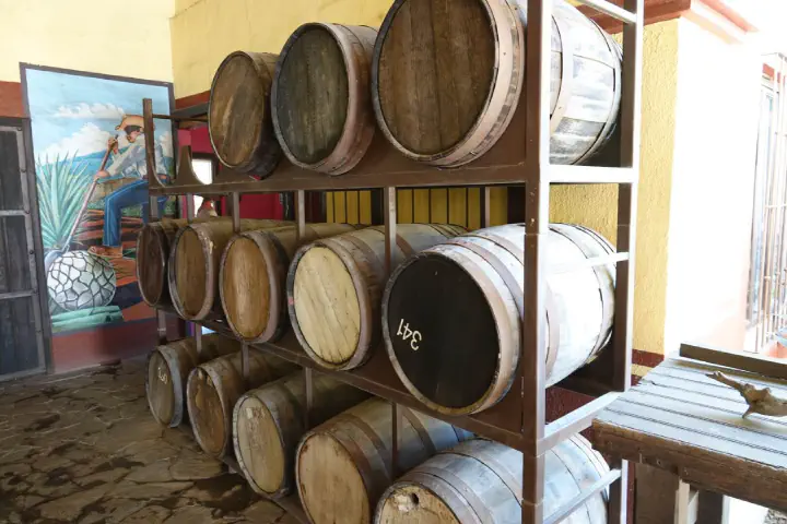 Puerto Vallarta, Mexiko - Photo 25