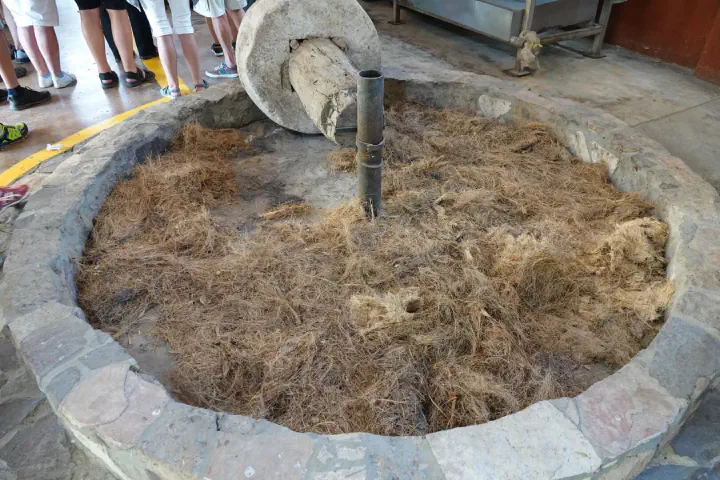 Puerto Vallarta, Mexiko - Photo 27