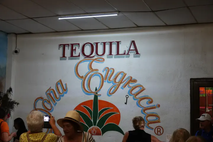 Puerto Vallarta, Mexiko - Photo 30