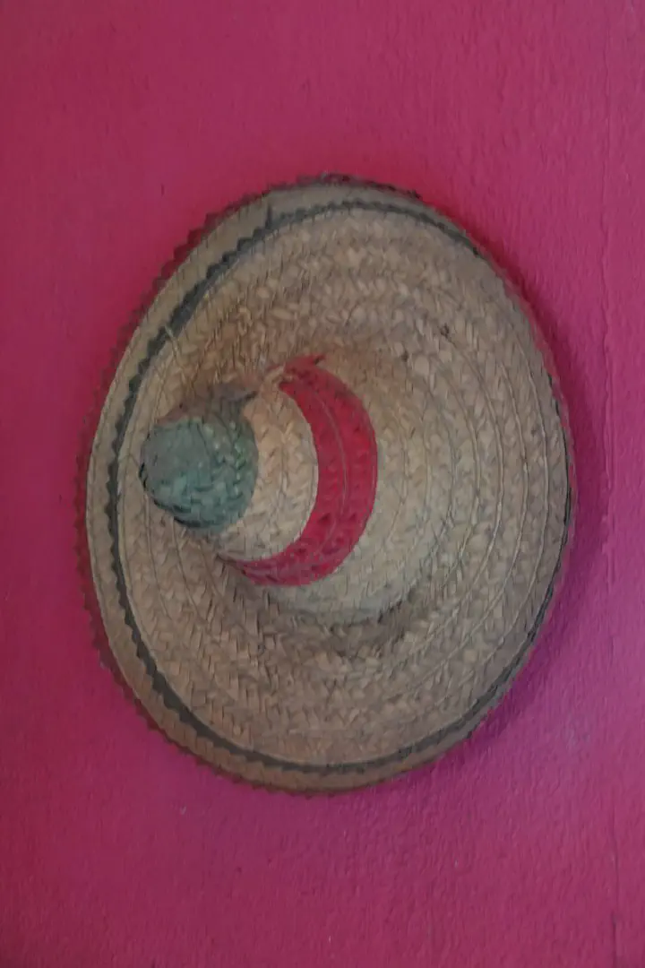 Puerto Vallarta, Mexiko - Photo 32