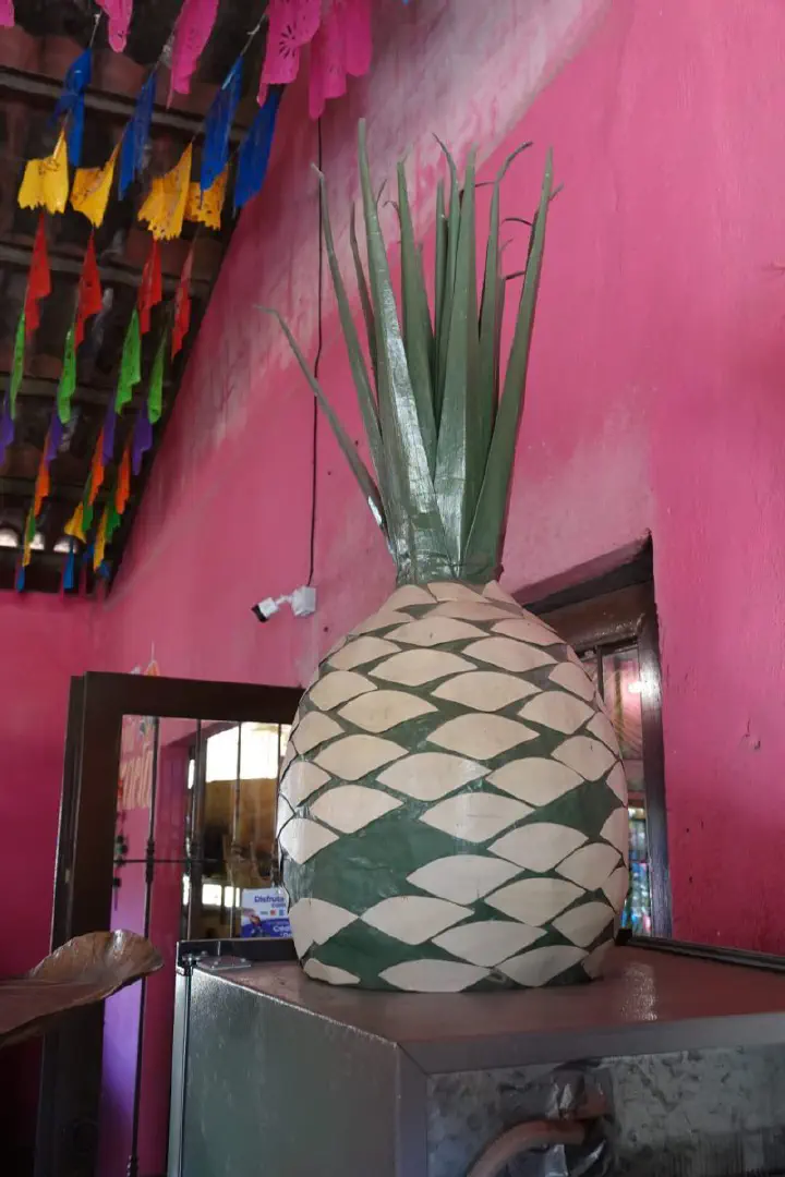 Puerto Vallarta, Mexiko - Photo 33