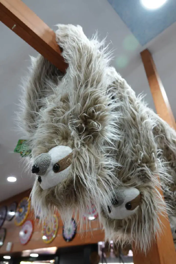 Puntarenas, Costa Rica - Photo 4