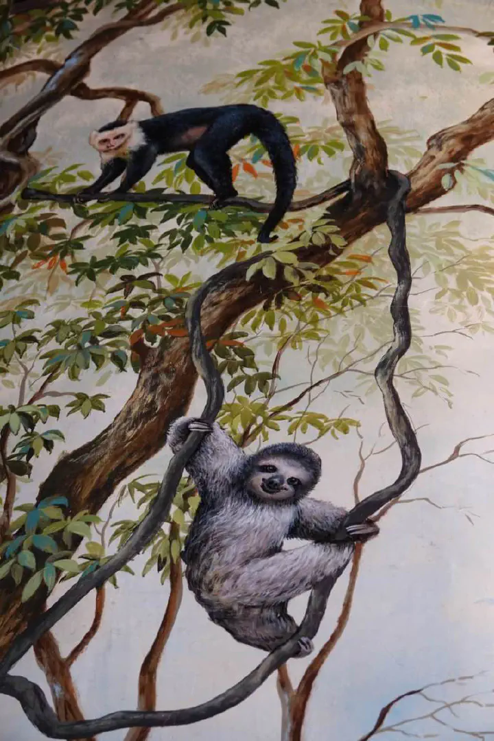 Puntarenas, Costa Rica - Photo 7