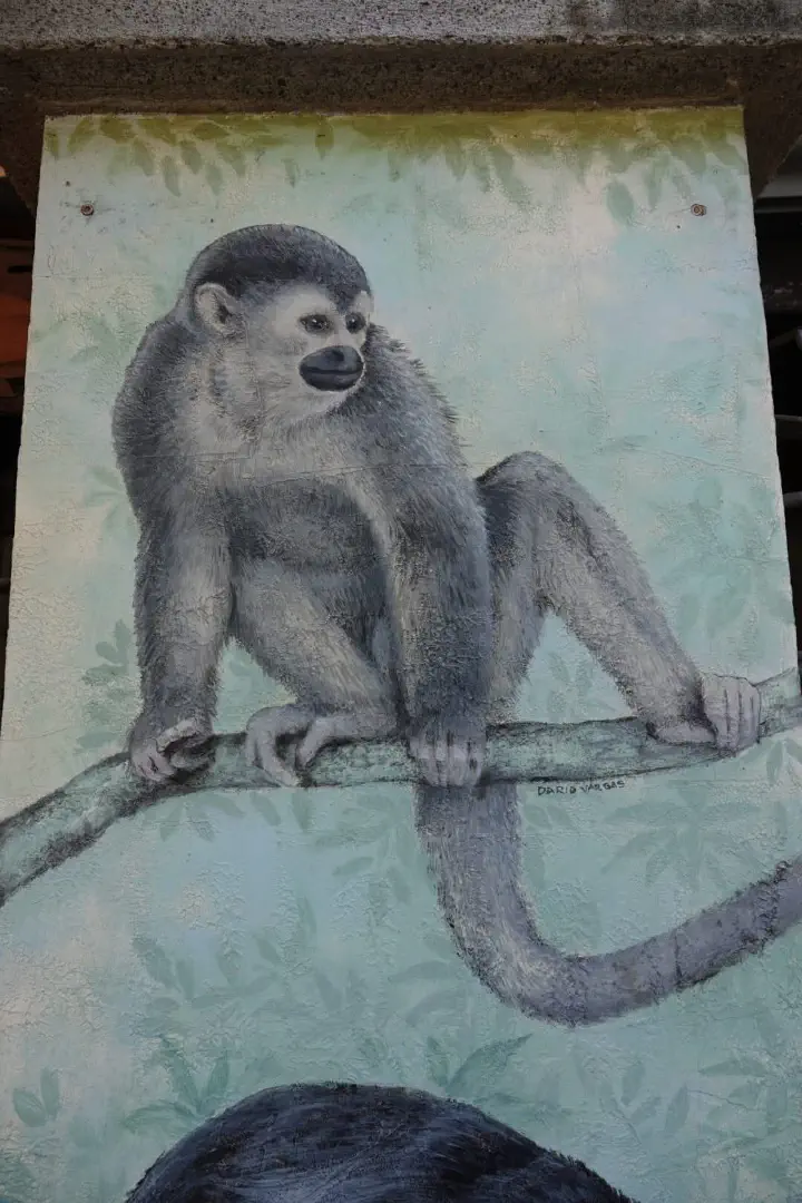 Puntarenas, Costa Rica - Photo 10