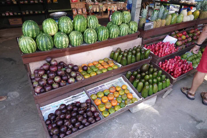 Puntarenas, Costa Rica - Photo 11