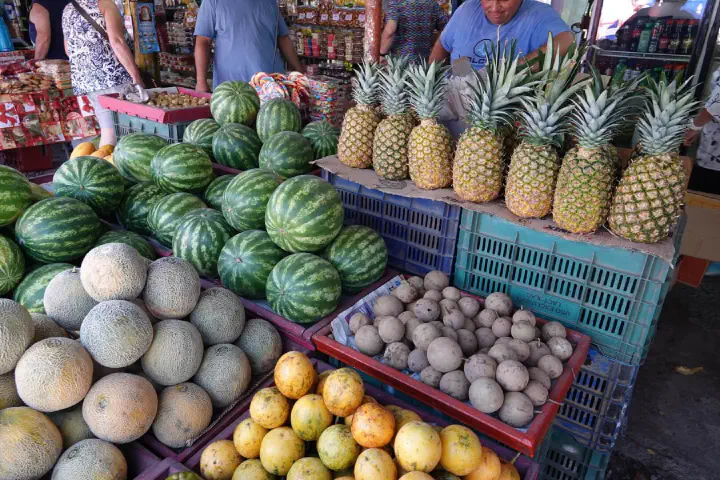Puntarenas, Costa Rica - Photo 12