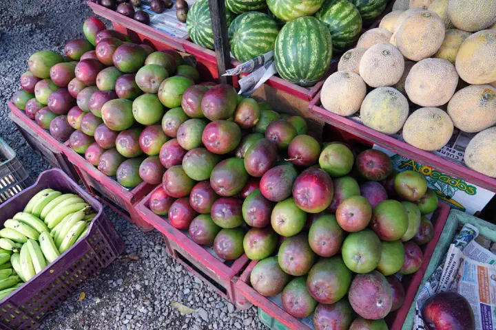 Puntarenas, Costa Rica - Photo 13