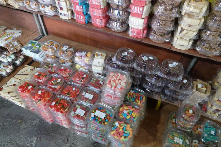 Puntarenas, Costa Rica - Photo 14